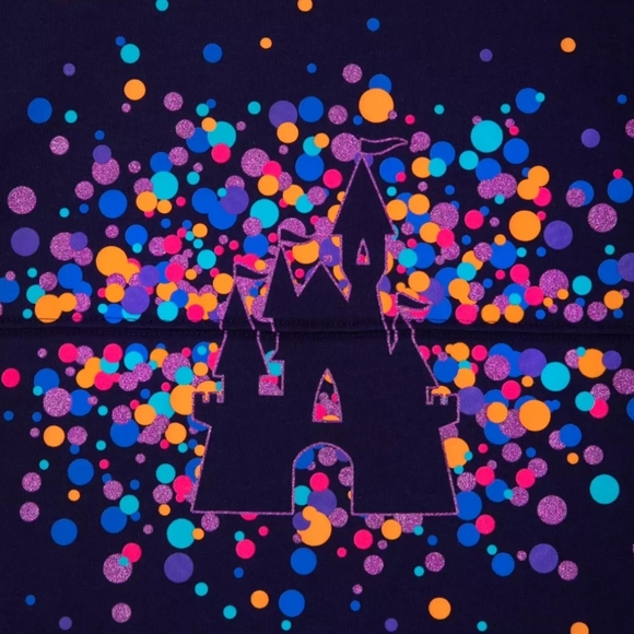 WDW Swearshirt NWT X-Small - Picture 3 of 6